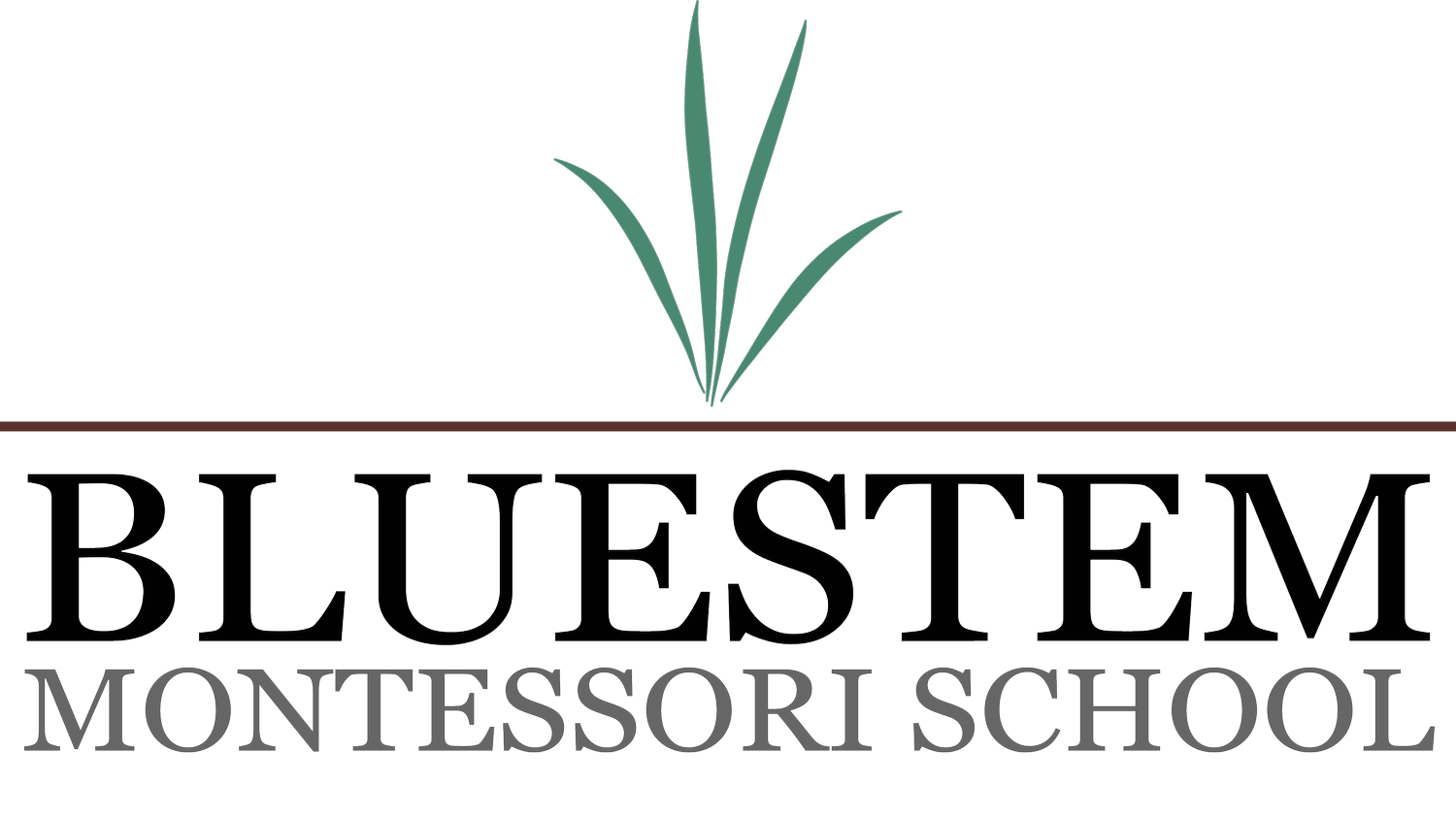 Bluestem Logo